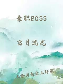 兼职BOSS