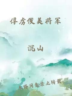 俘虏俊美将军