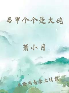 马甲个个是大佬