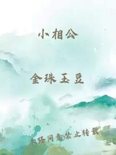 小相公