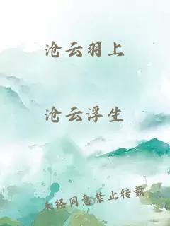 沧云羽上